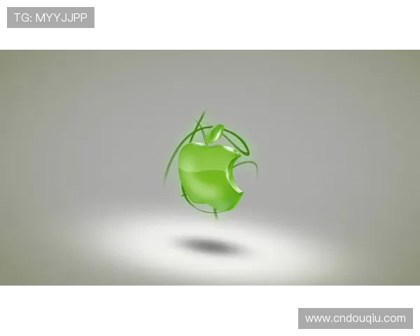 如何在电脑上顺利下载斗球app并完成安装步骤全攻略